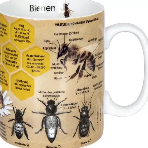 Konitz Porcelain Knowledge Mug Biene (German)^ Mugs Of Knowledge