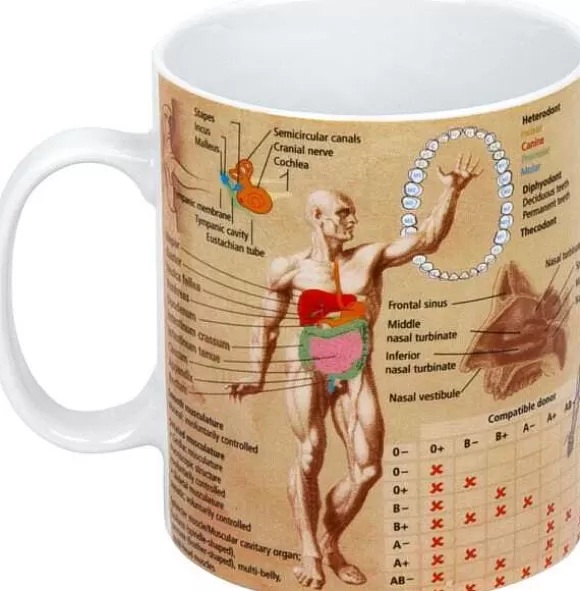 Konitz Porcelain Mug Medicine^ Mugs Of Knowledge