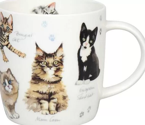 Konitz Porcelain Mug Natures Diversity - Kitten^ Animals